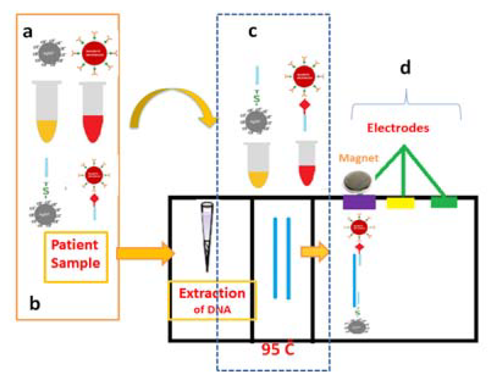 Proceedings 02 01556 g001
