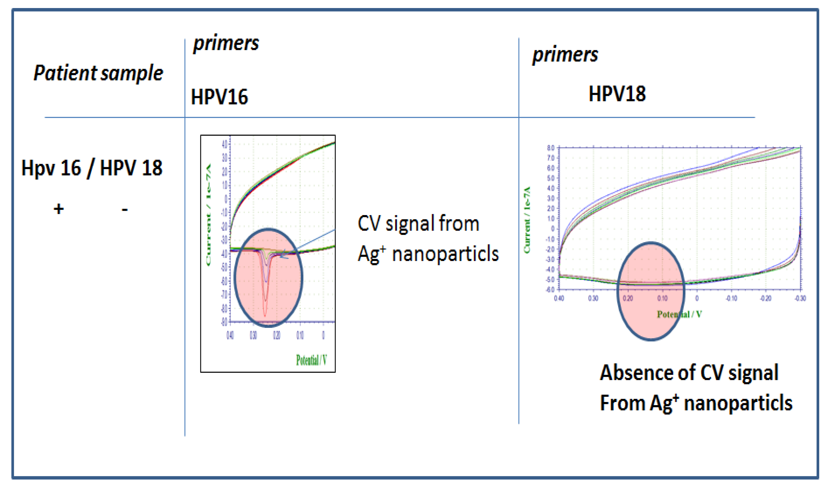 Proceedings 02 01556 g004