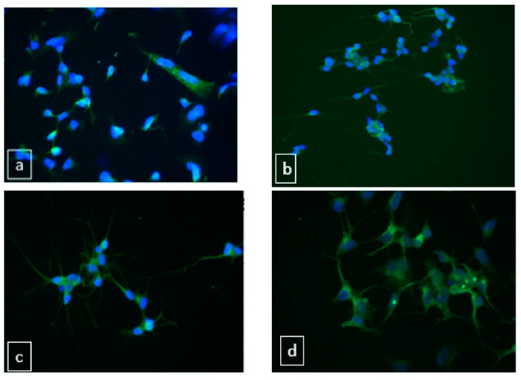 Proceedings 02 01577 g002