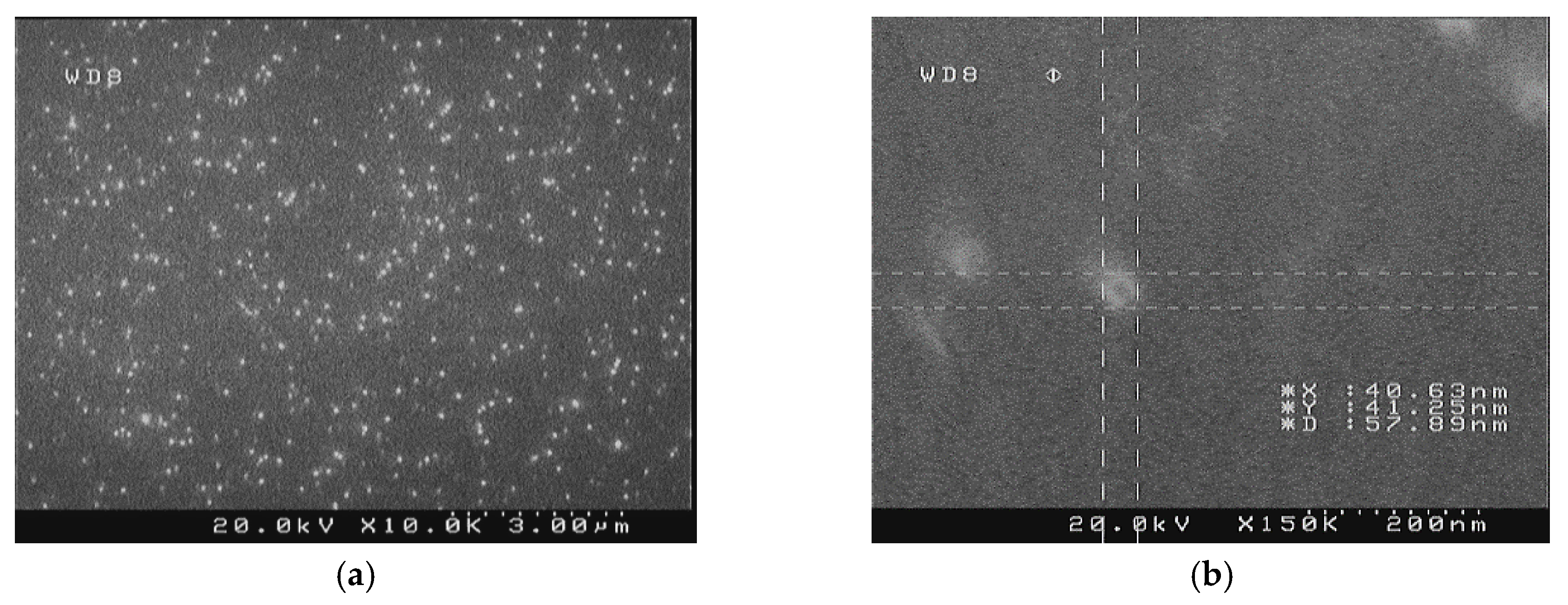 Proceedings 04 00027 g001