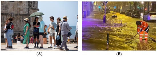 Proceedings 113 00004 g001a