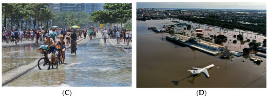 Proceedings 113 00004 g001b