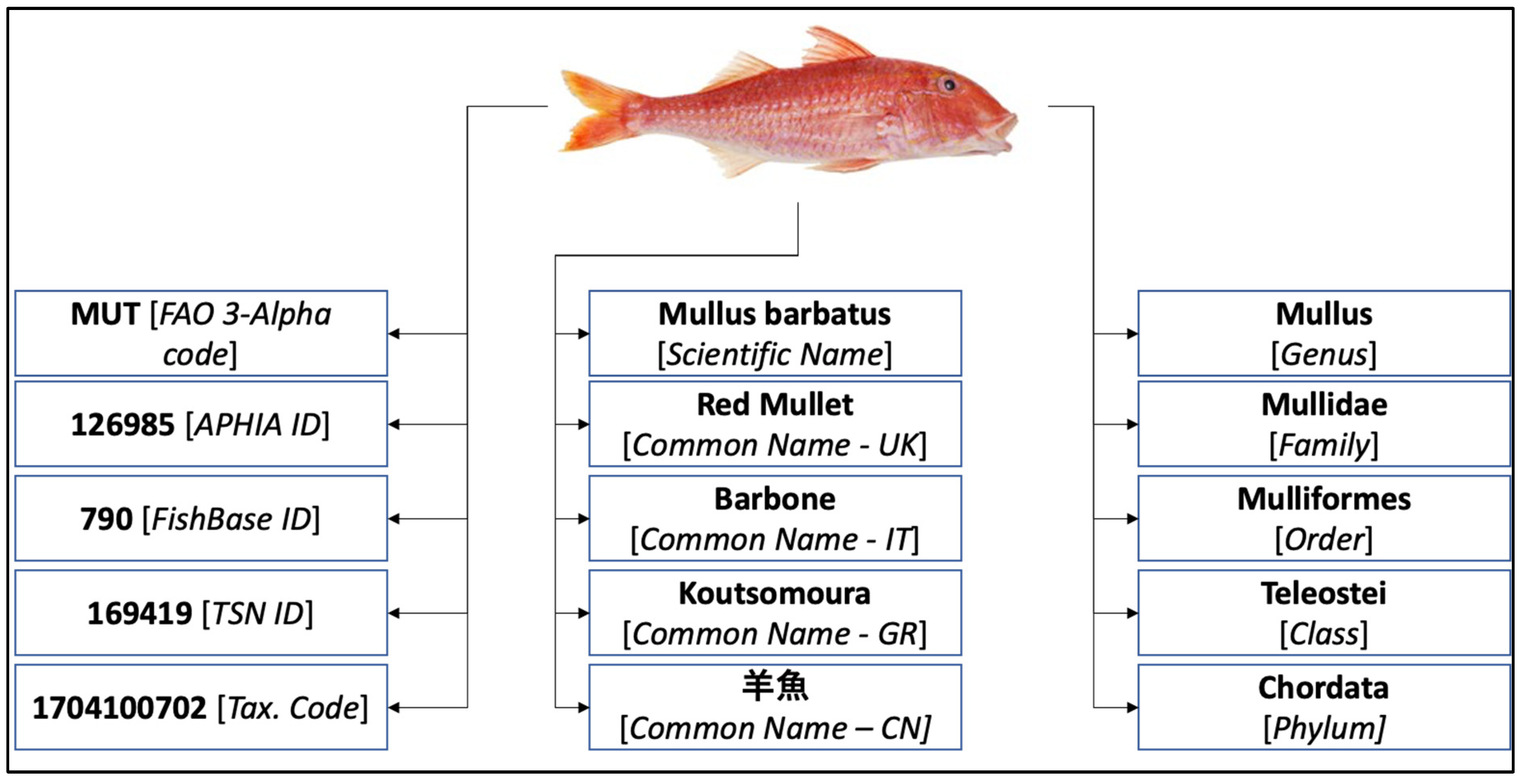Proceedings 117 00004 g002
