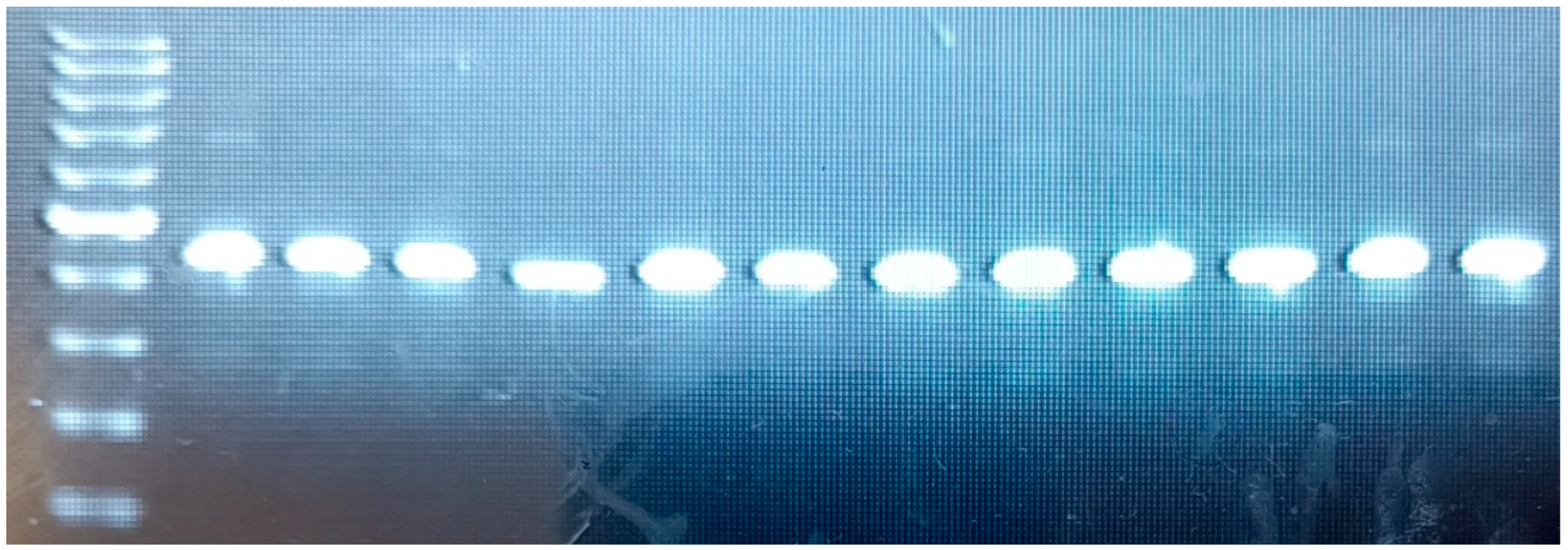 Proceedings 117 00031 g002