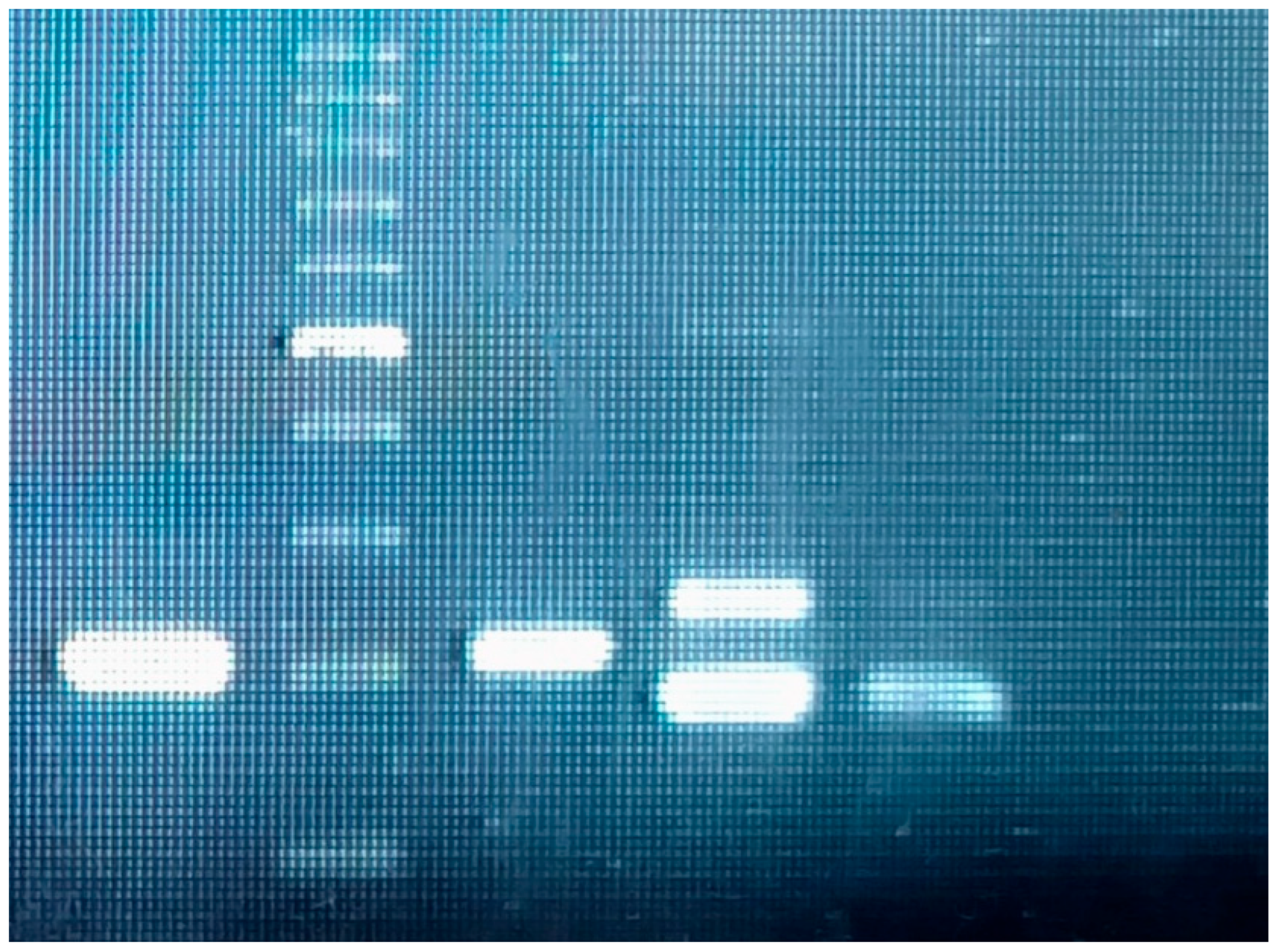 Proceedings 117 00031 g003