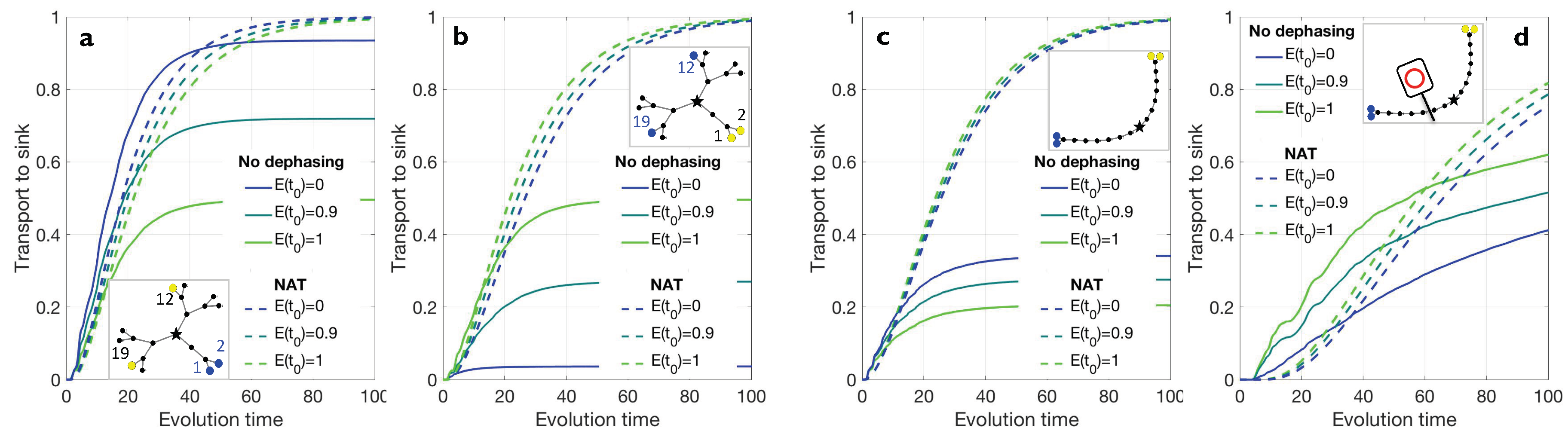 Proceedings 12 00036 g002