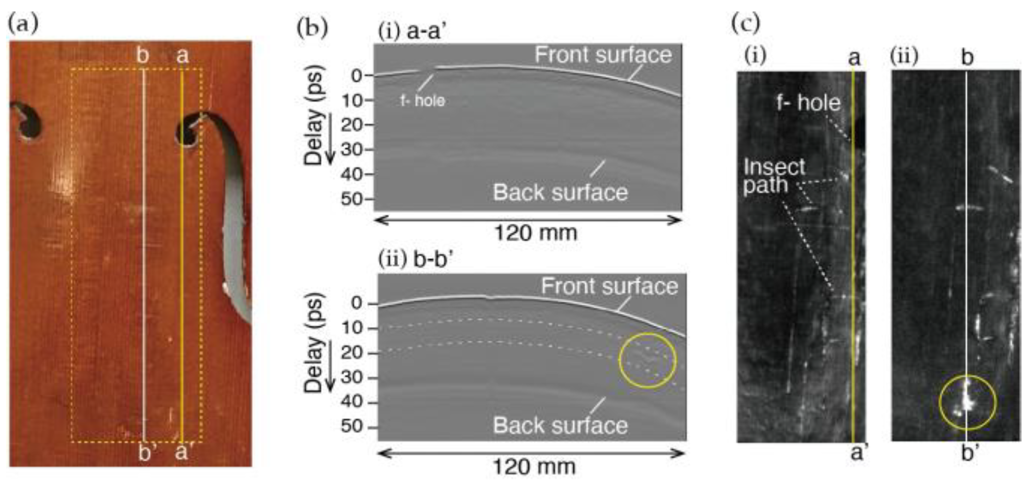 Proceedings 129 00044 g003