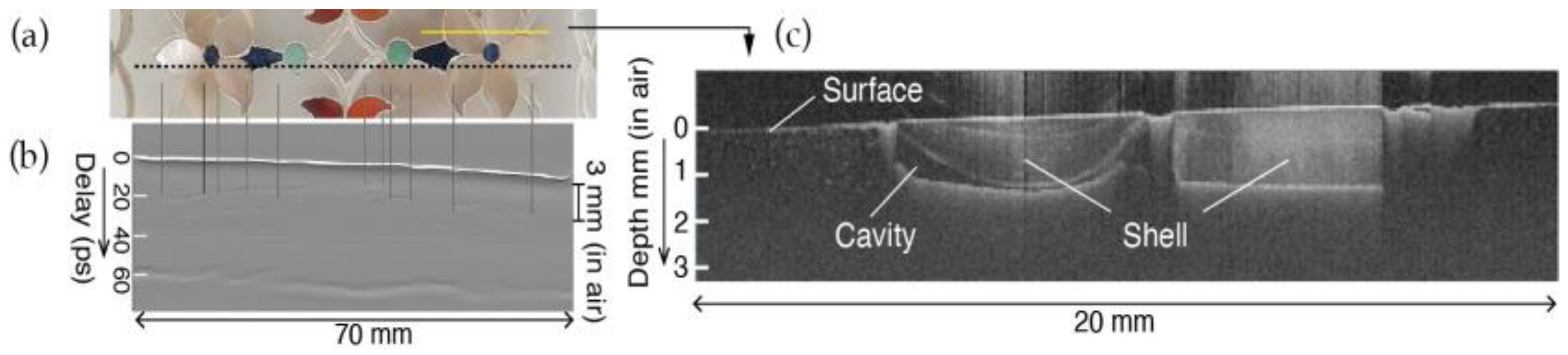 Proceedings 129 00044 g005