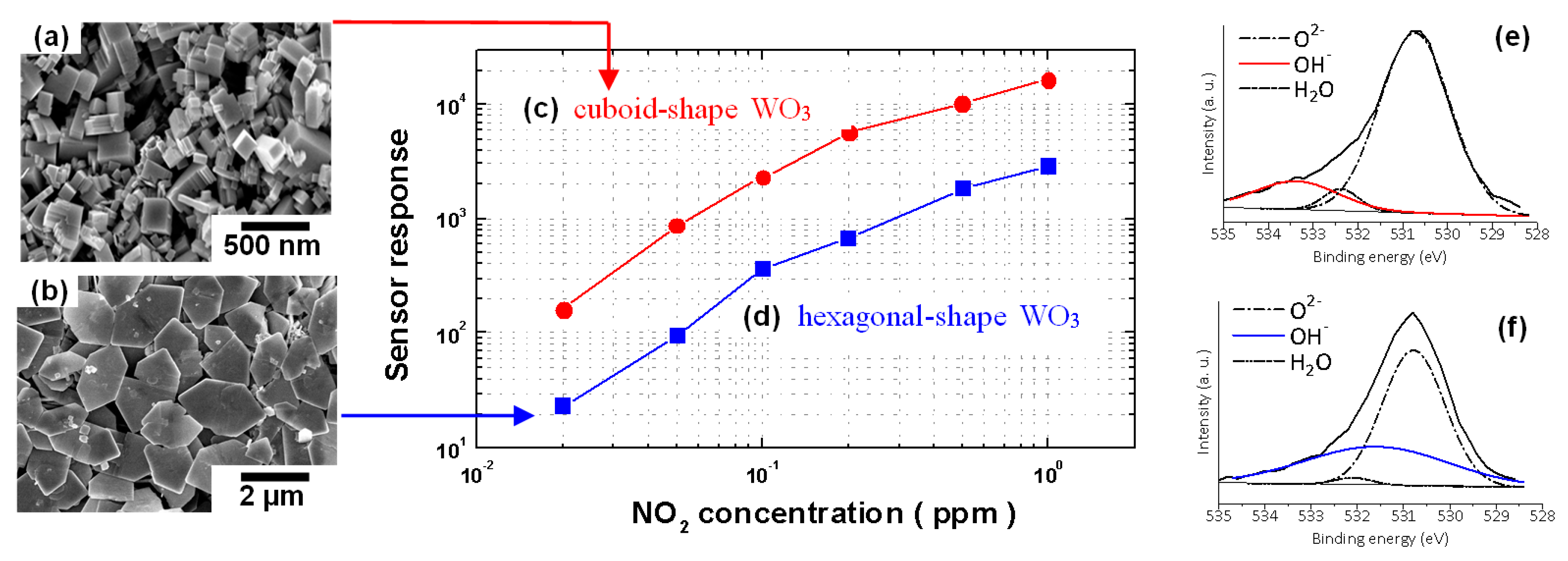 Proceedings 14 00007 g001