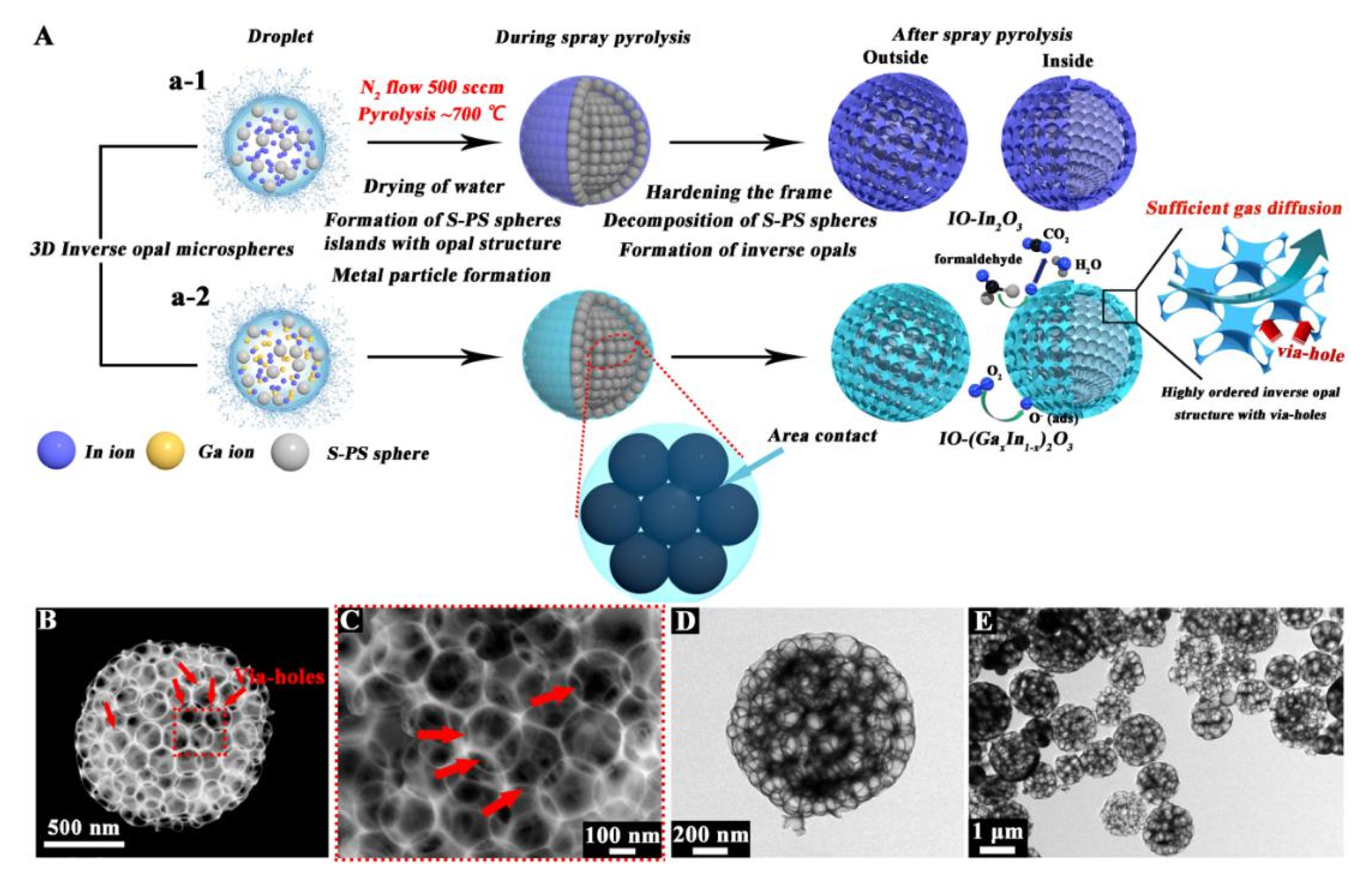 Proceedings 14 00015 g001