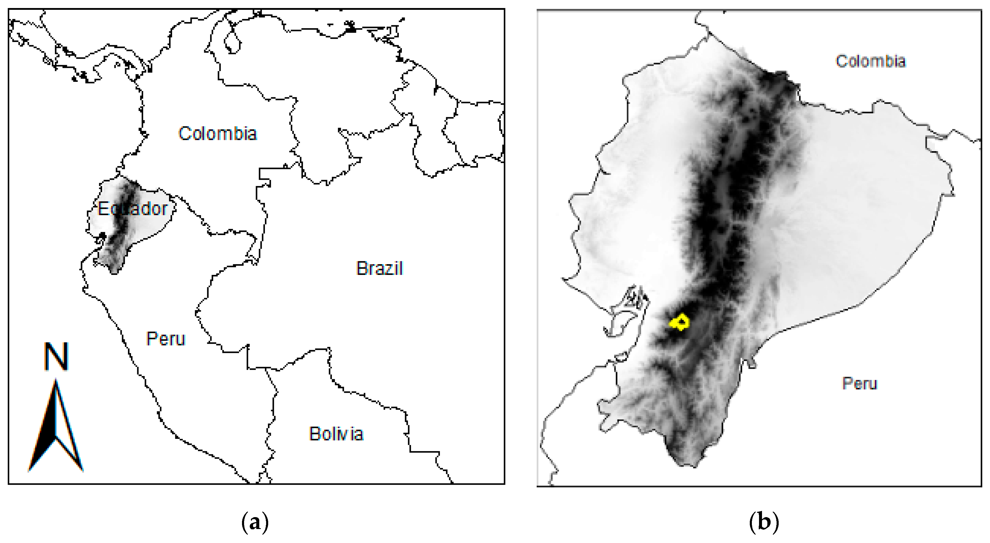 Proceedings 19 00020 g001