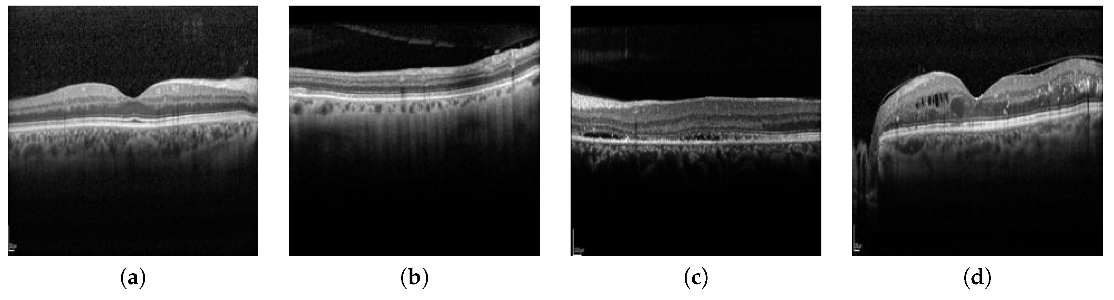 Proceedings 21 00016 g001