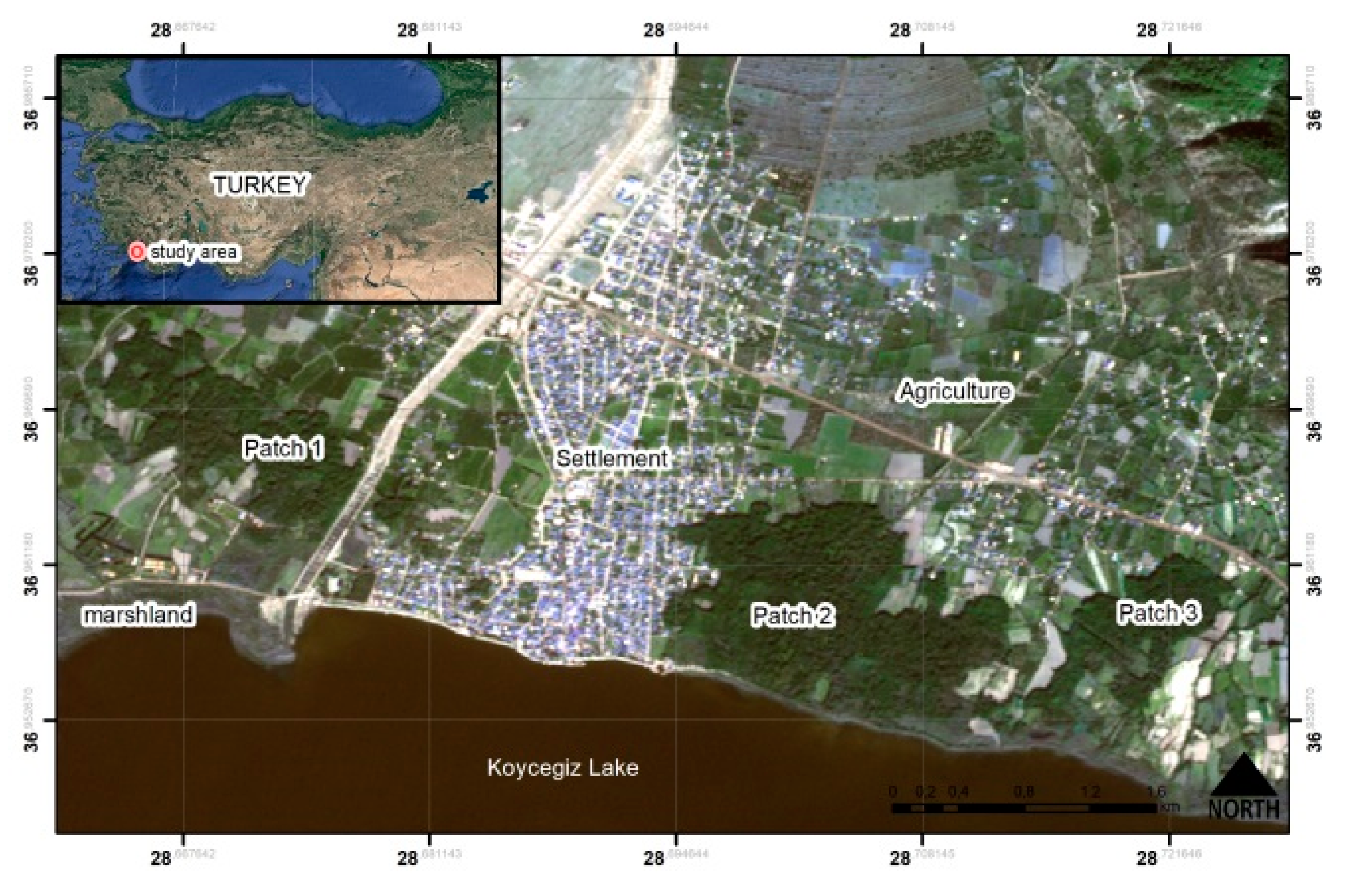 Proceedings 24 00015 g001