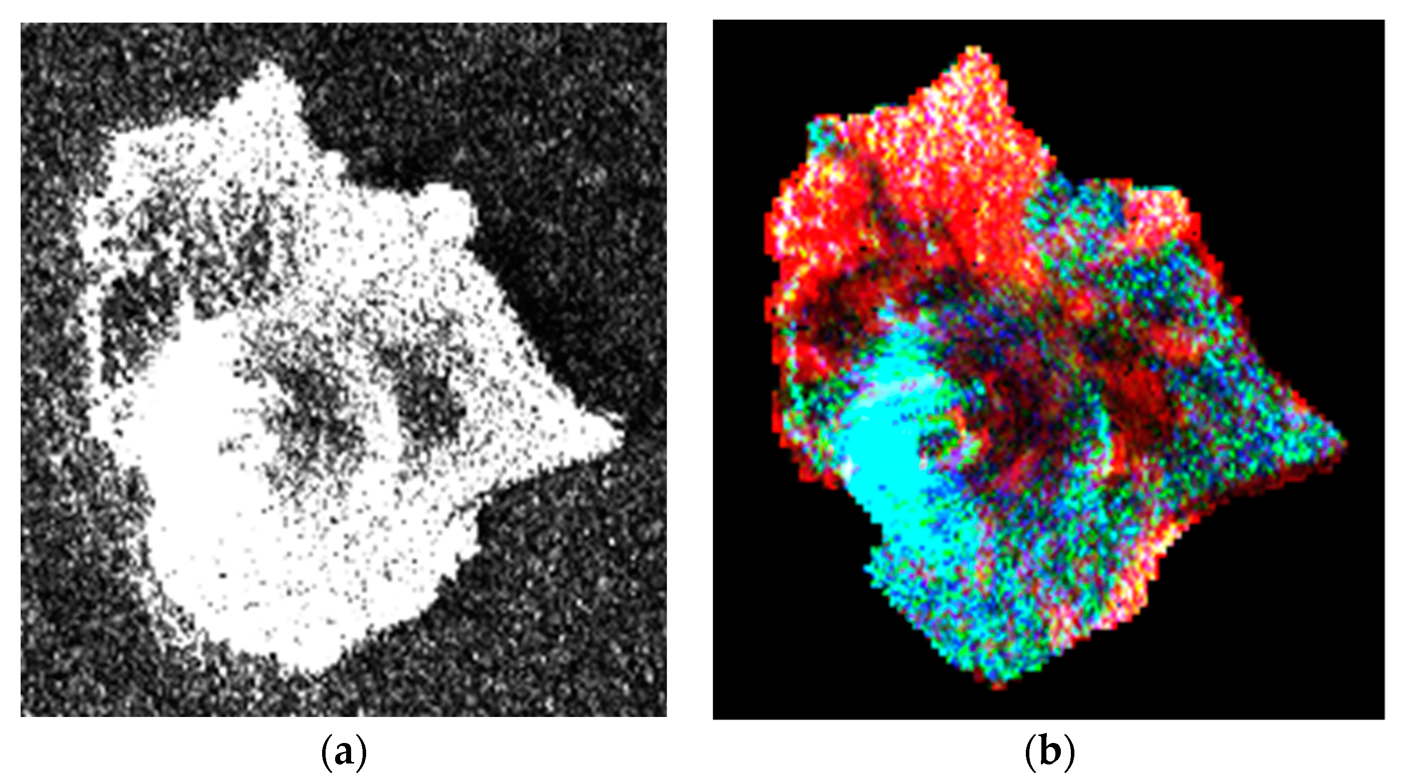 Proceedings 24 00021 g003