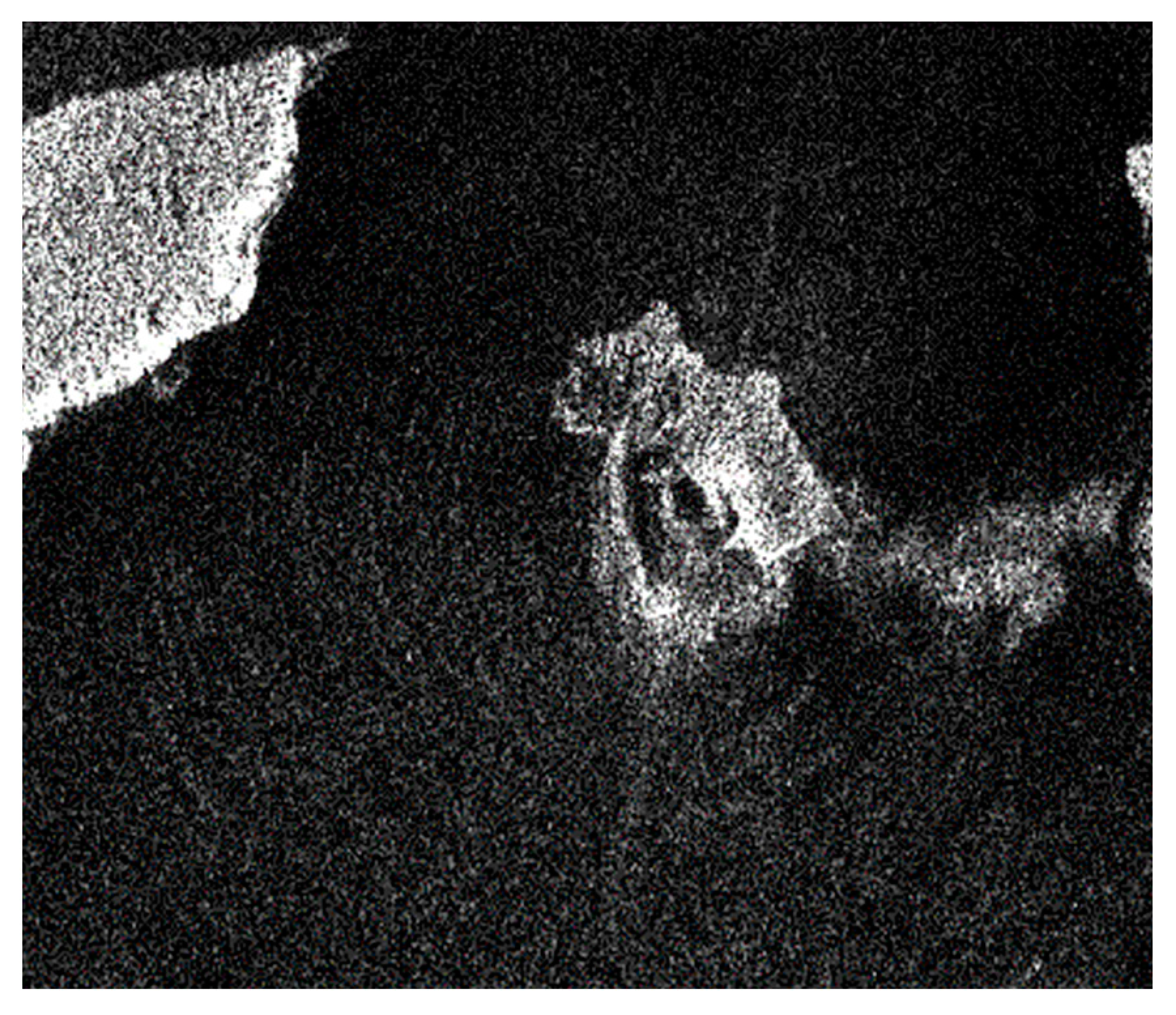 Proceedings 24 00021 g007