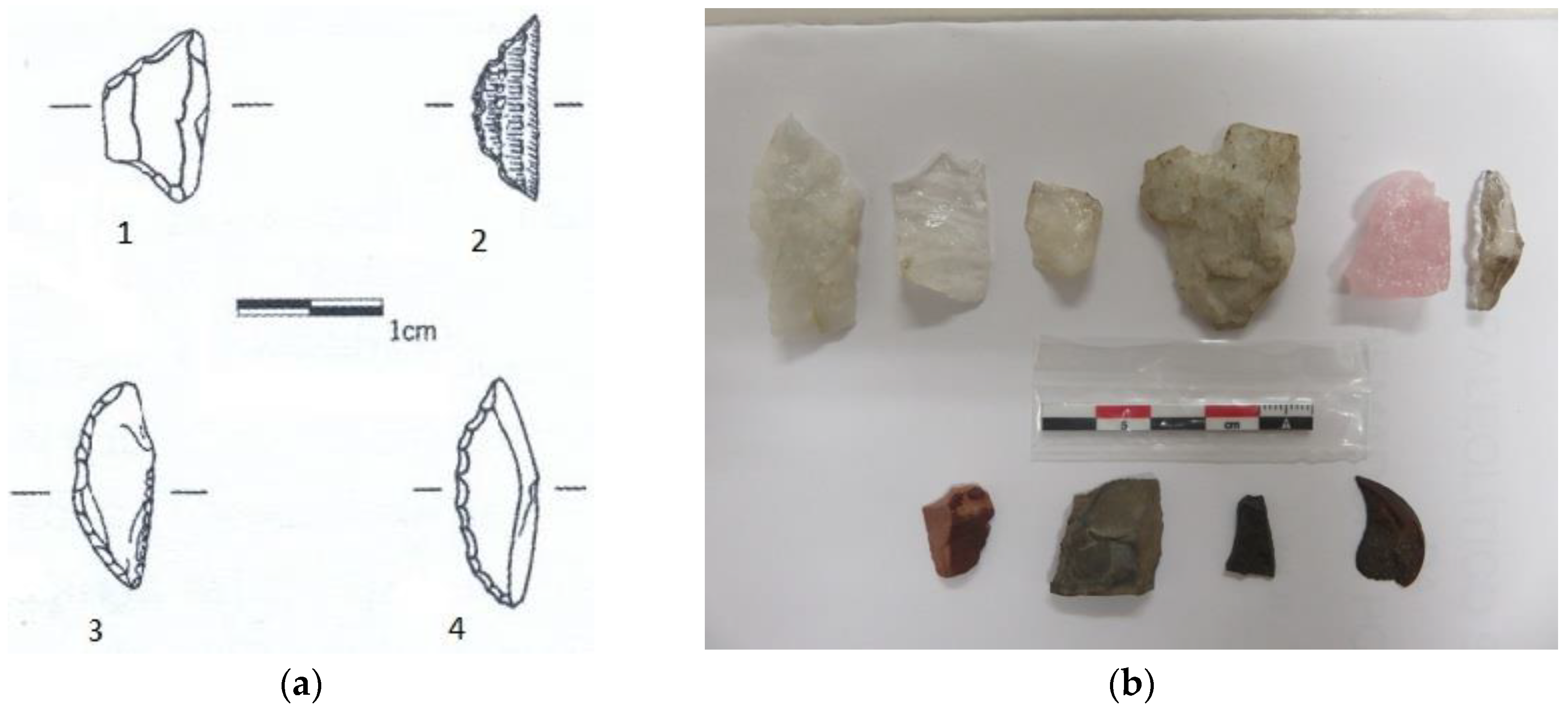 Proceedings 24 00023 g001