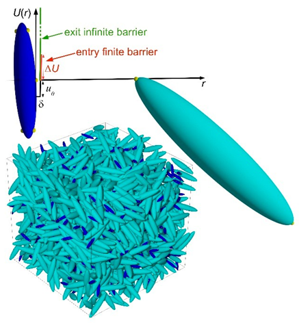 Proceedings 26 00004 i001 Proceedings 26 00004 i001