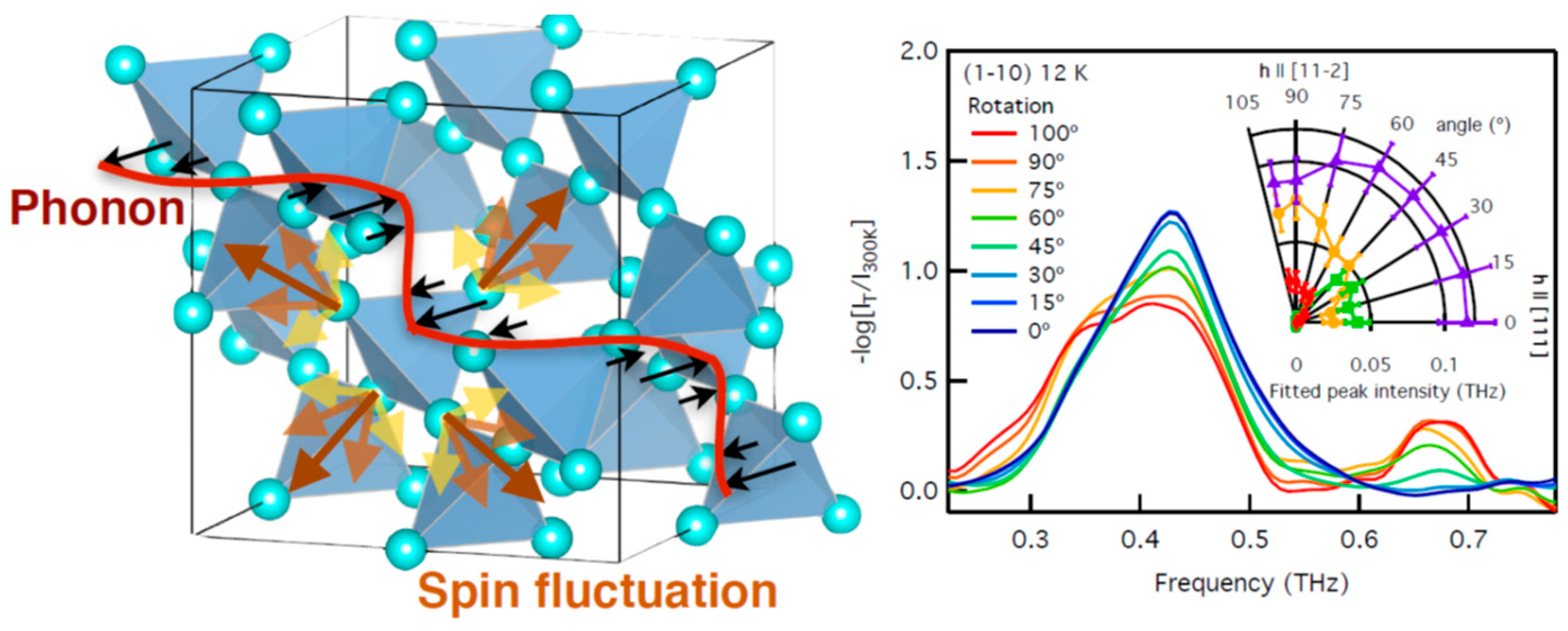 Proceedings 26 00050 g001