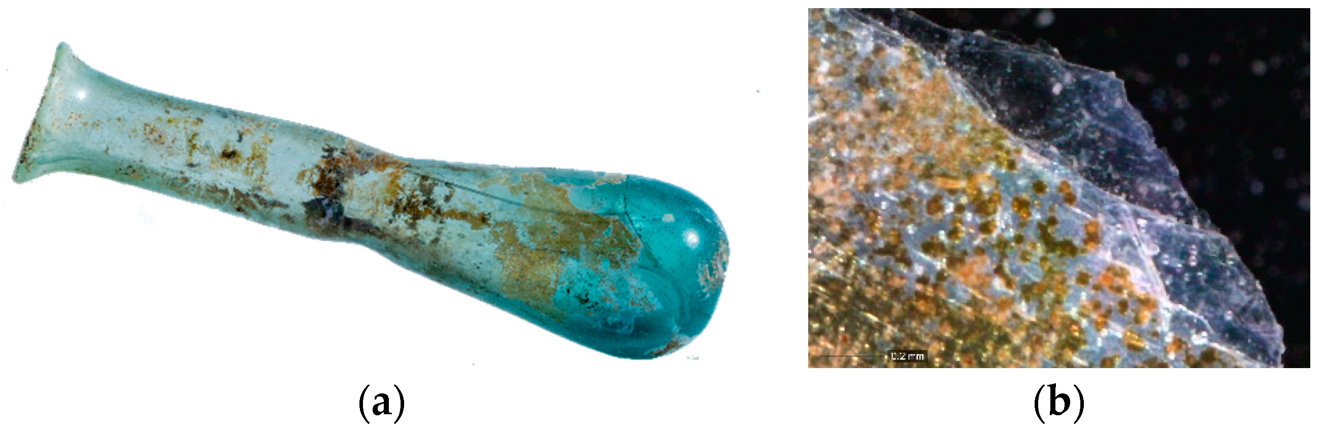 Proceedings 27 00005 g001