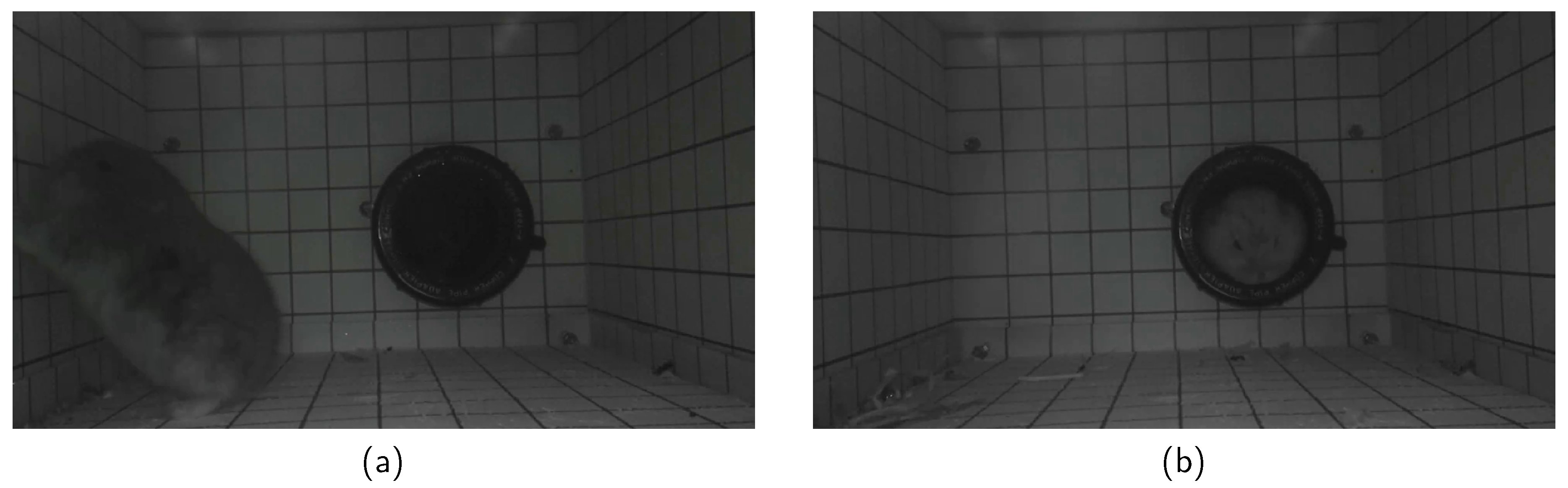 Proceedings 27 00011 g003