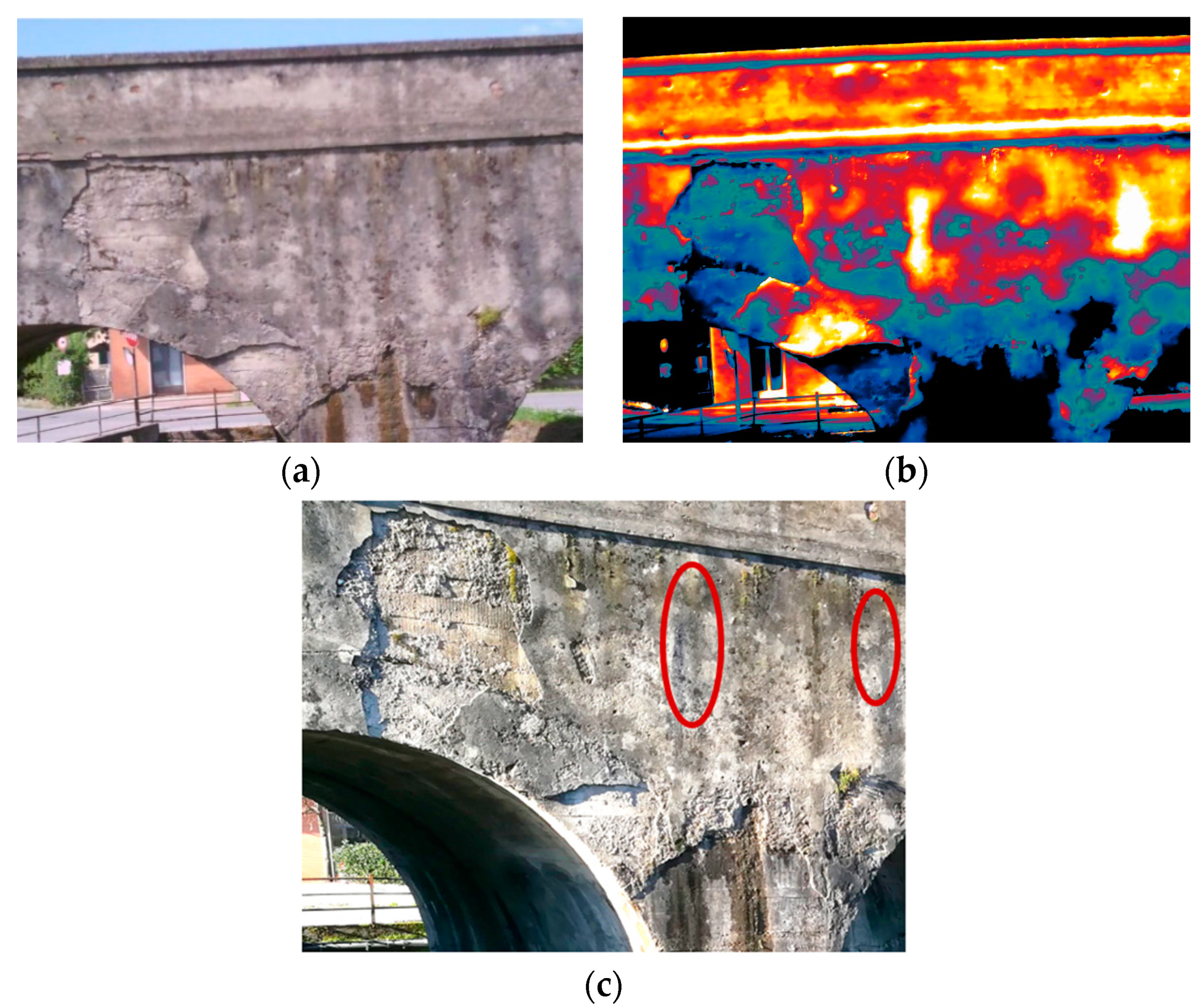 Proceedings 27 00012 g001