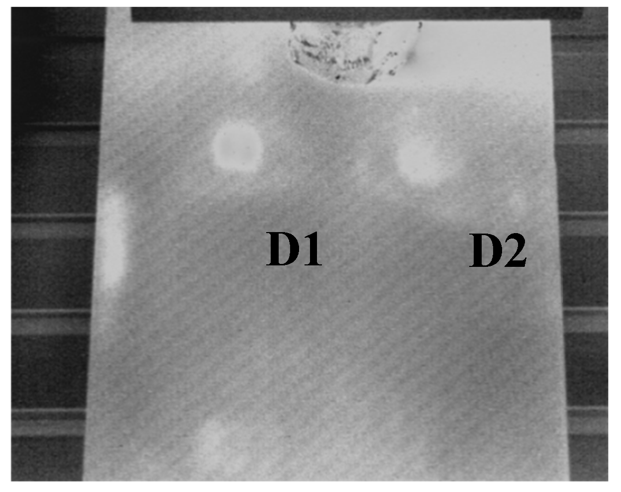 Proceedings 27 00030 g002 Proceedings 27 00030 g002