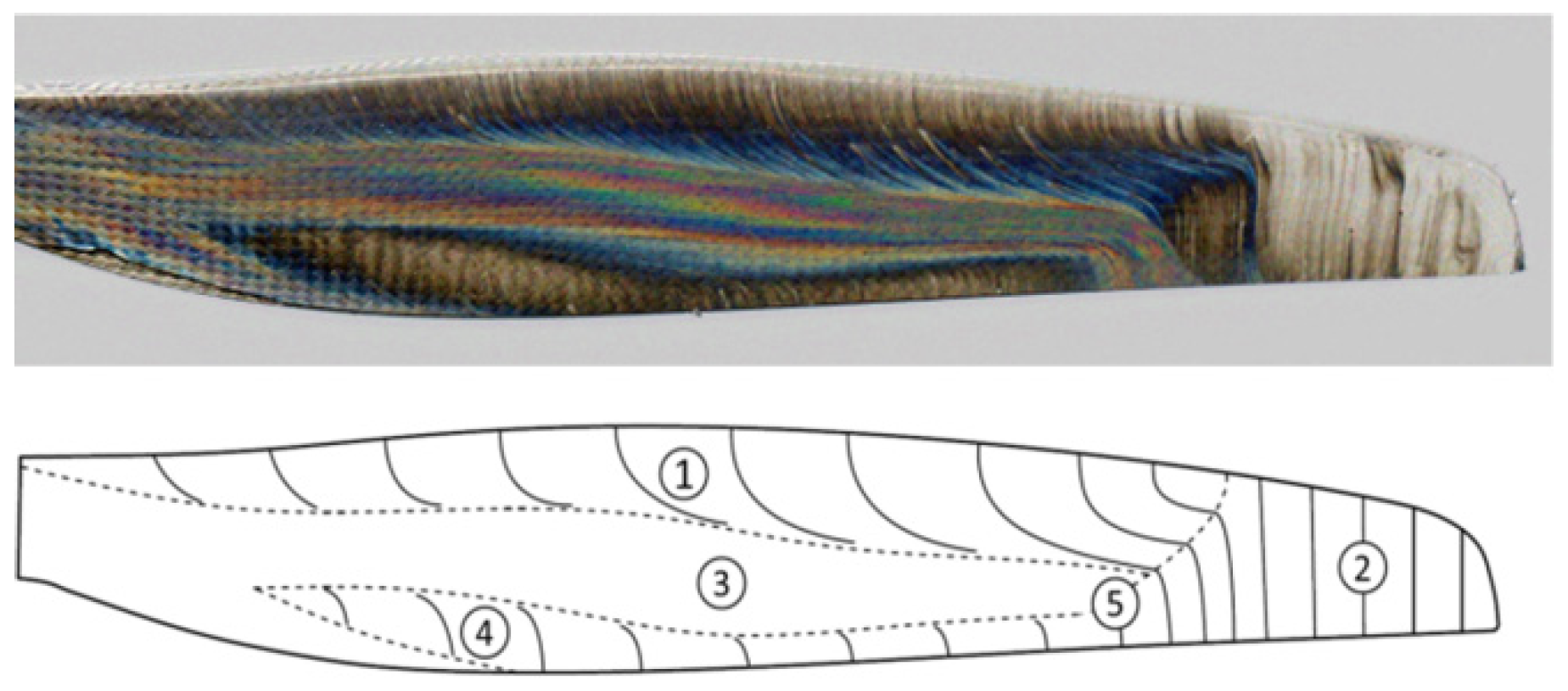 Proceedings 27 00031 g001