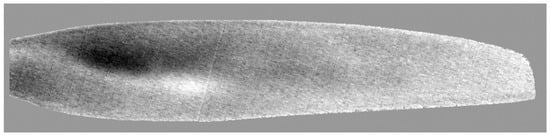 Proceedings 27 00031 g003