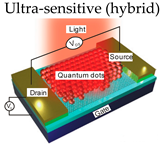 Proceedings 27 00033 i004
