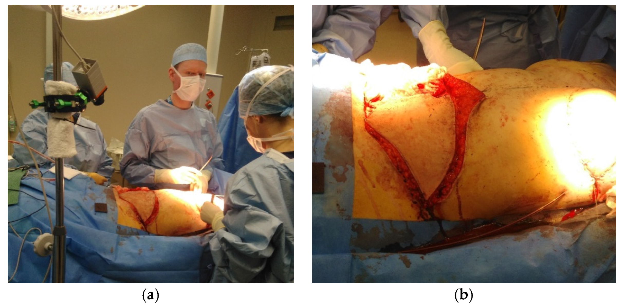 Proceedings 27 00048 g001