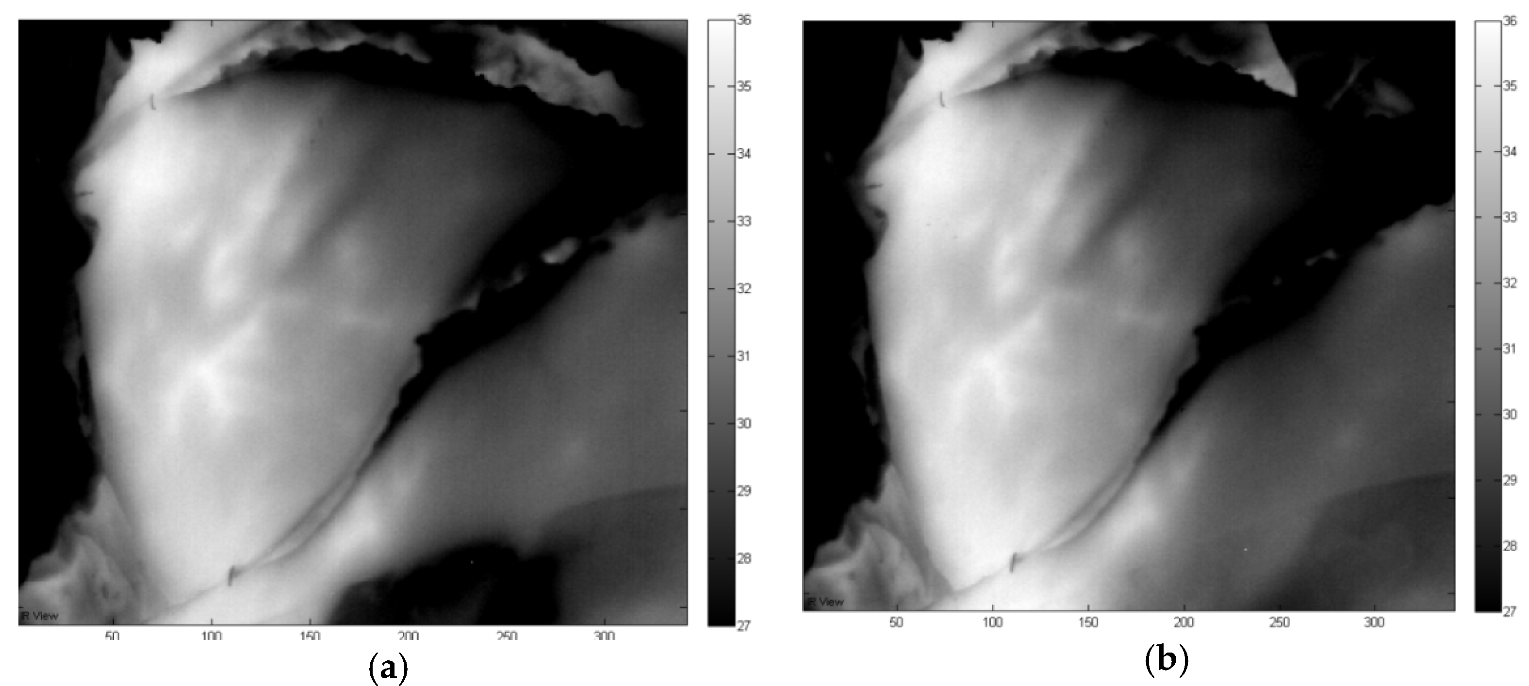 Proceedings 27 00048 g002