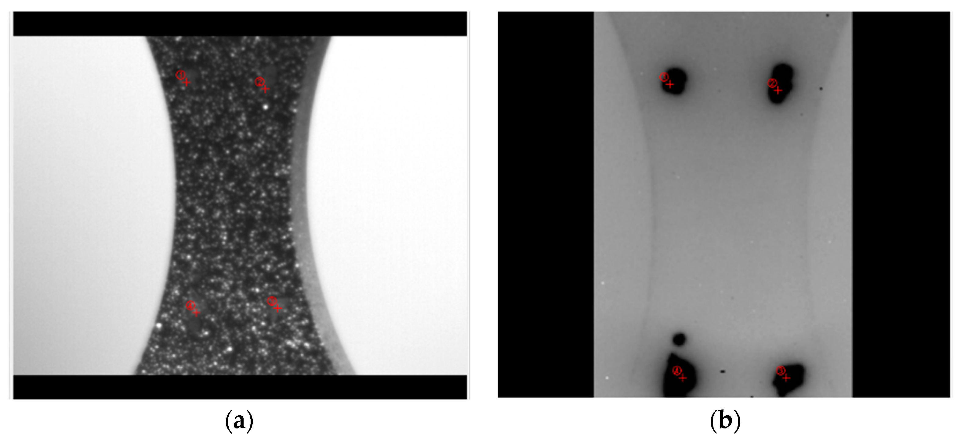 Proceedings 27 00050 g002