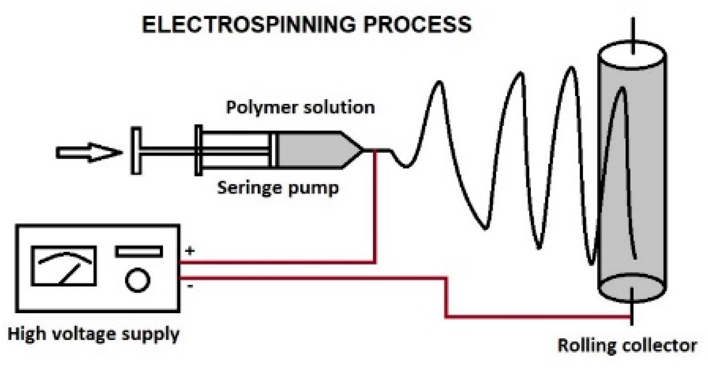 Proceedings 29 00012 g001 Proceedings 29 00012 g001