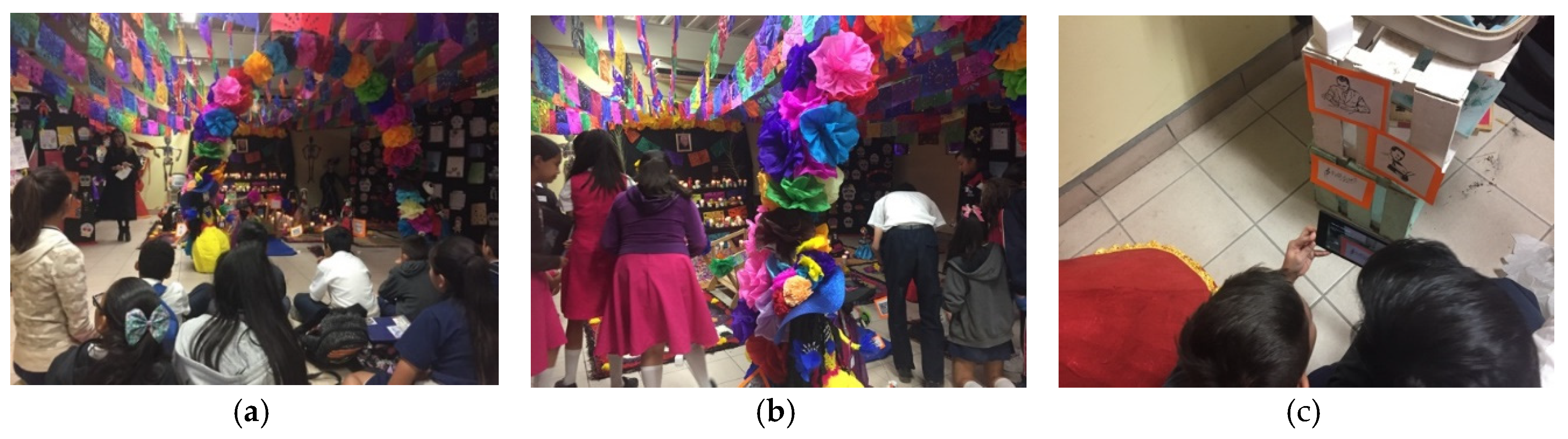 Proceedings 31 00016 g002