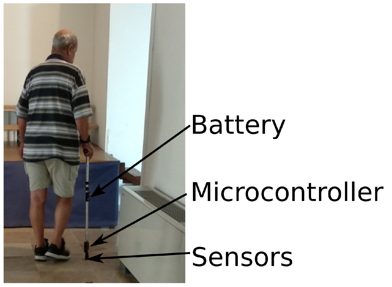 Proceedings 31 00023 g001