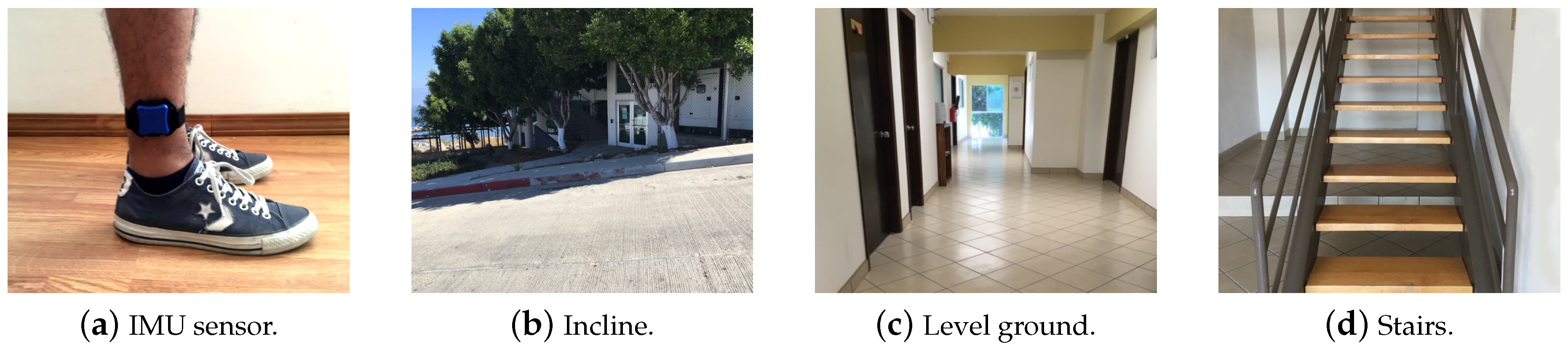 Proceedings 31 00060 g002