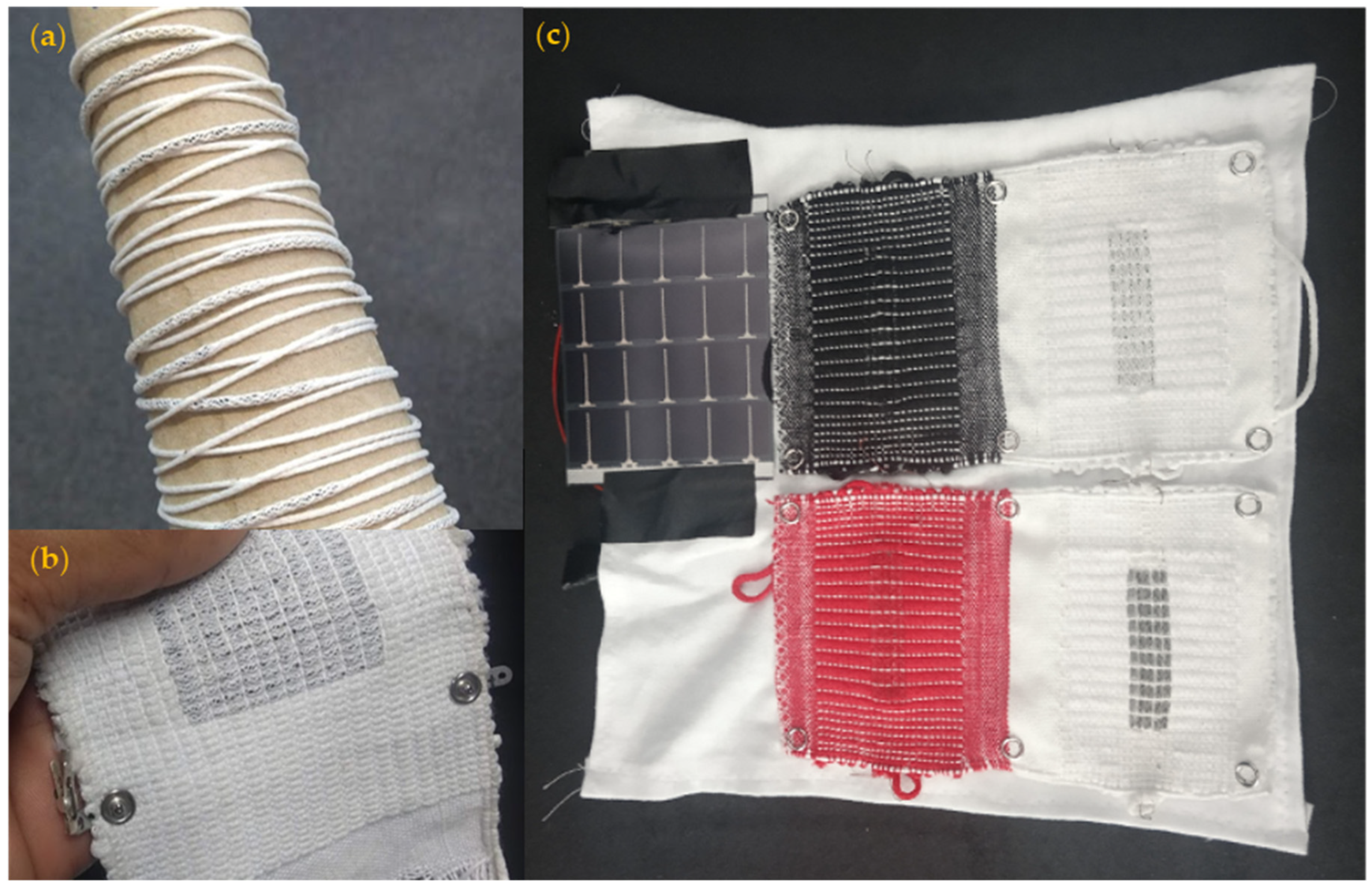 Proceedings 32 00001 g001