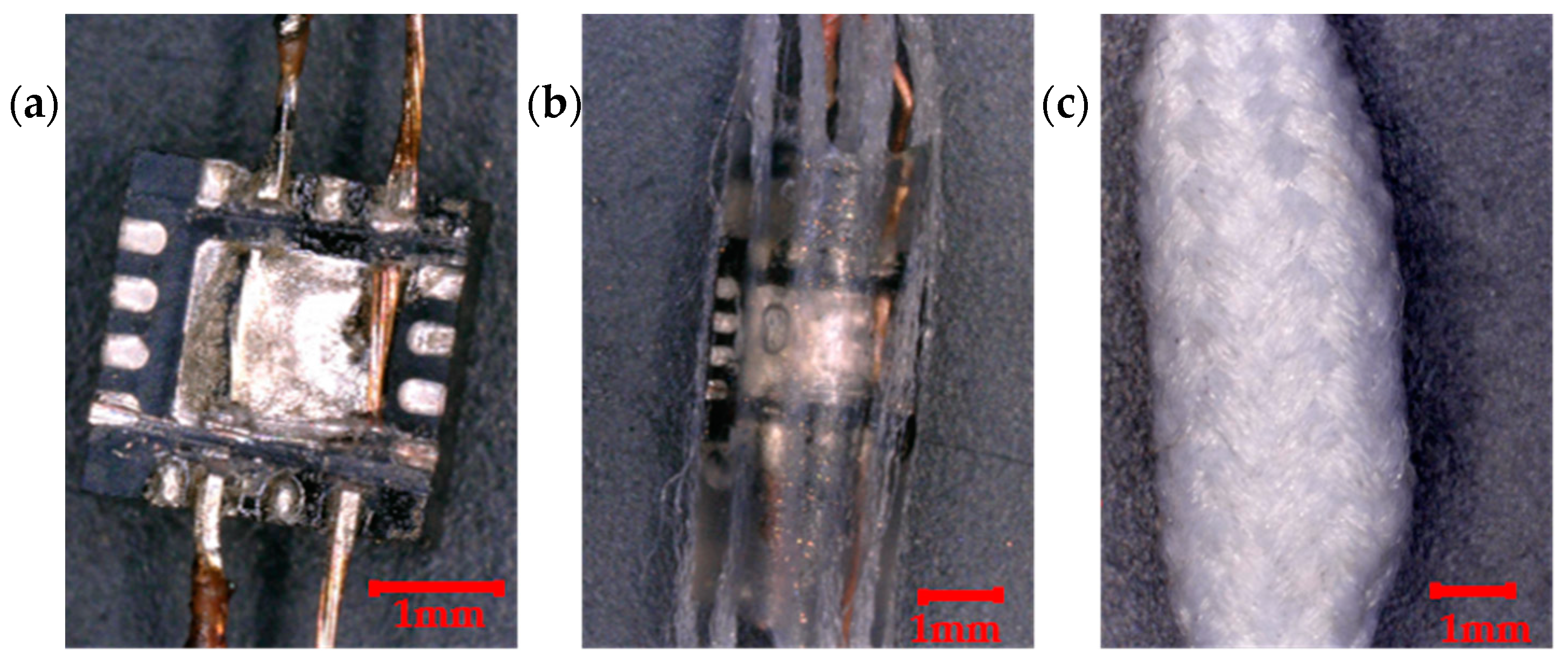 Proceedings 32 00006 g001