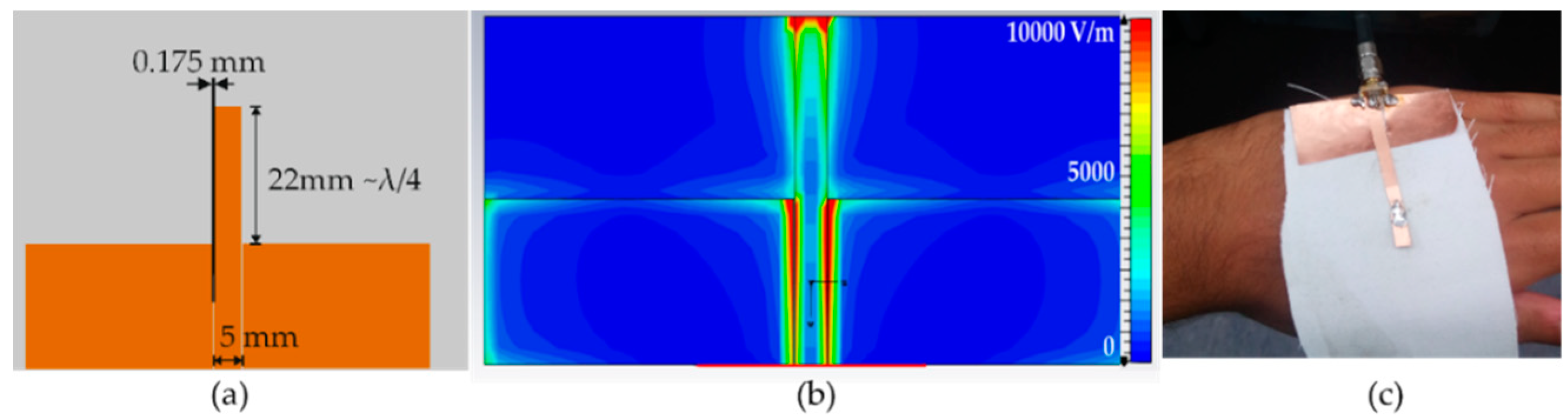 Proceedings 32 00018 g004