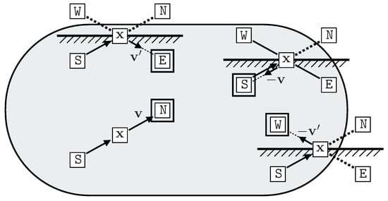 Proceedings 33 00019 g005