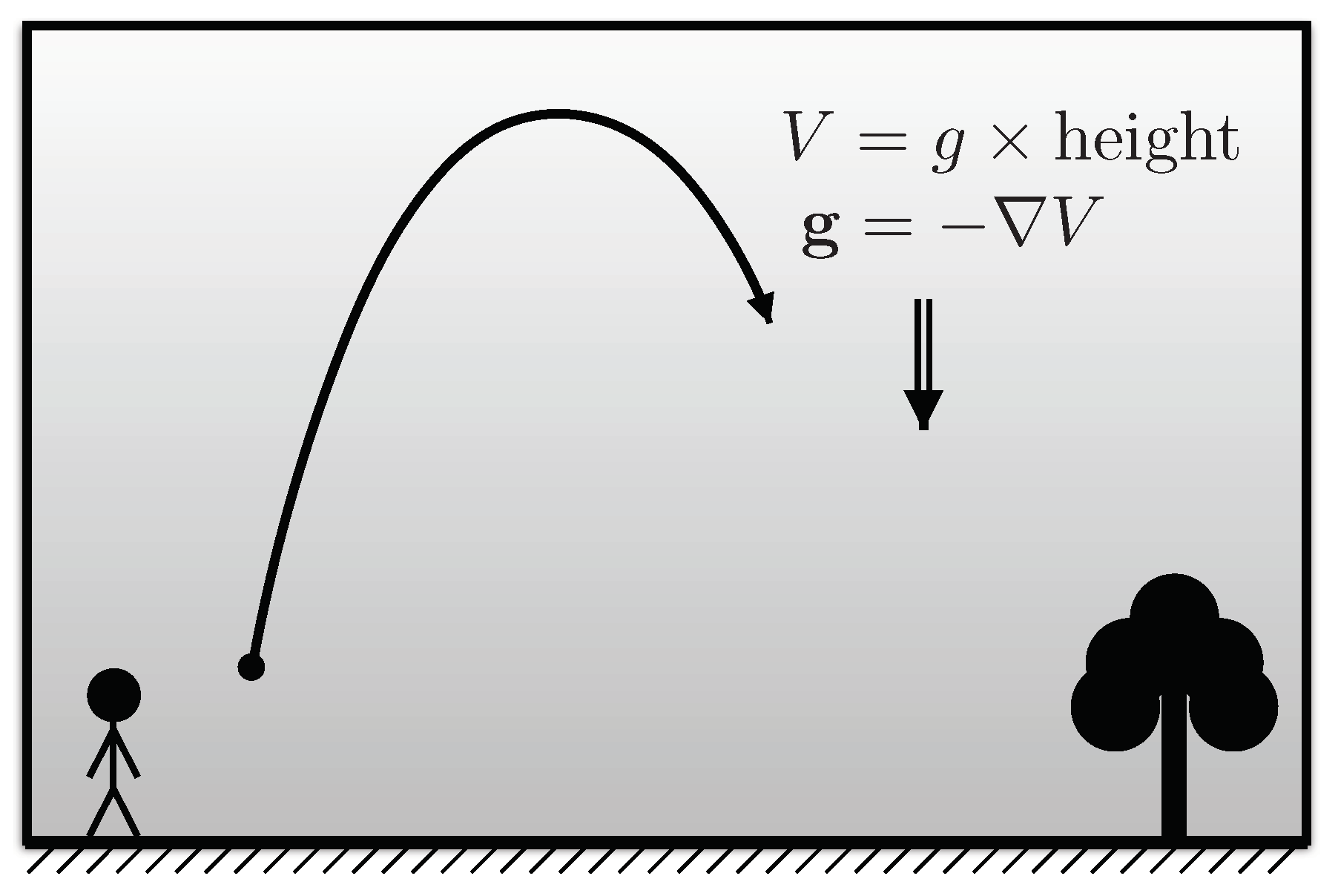 Proceedings 33 00019 g007