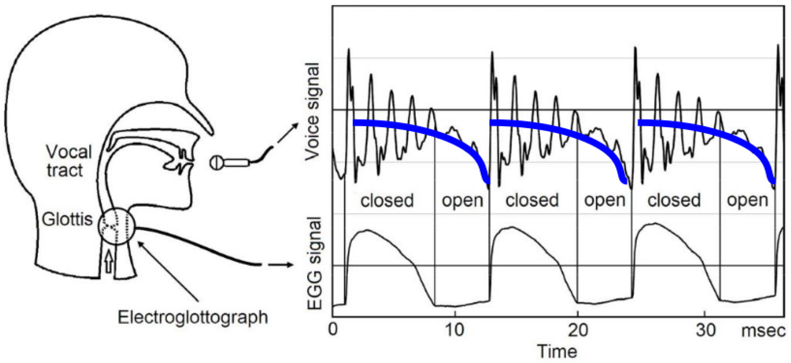 Proceedings 33 00029 g001