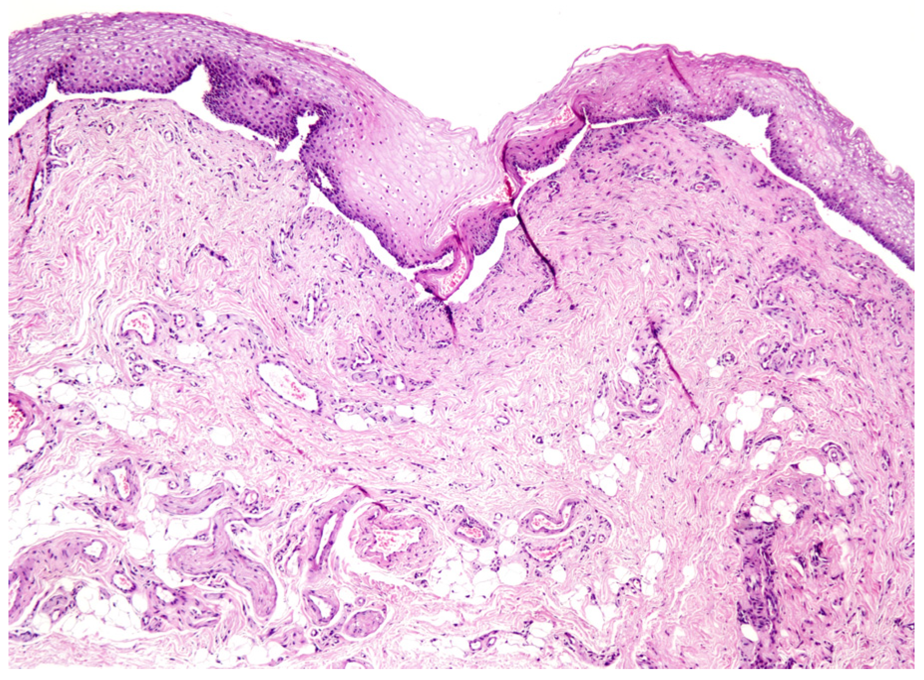 Proceedings 35 00021 g002