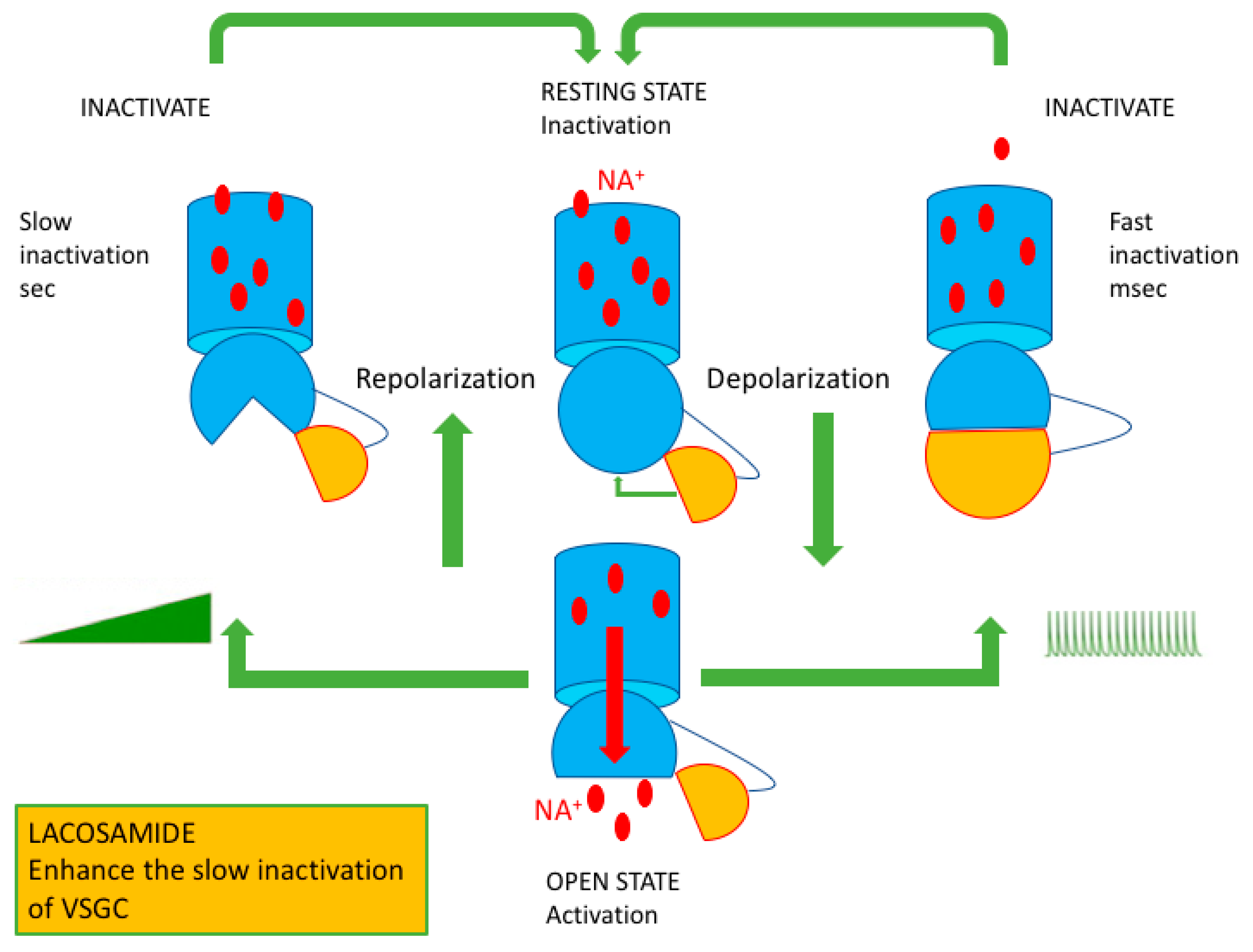 Proceedings 35 00052 g001