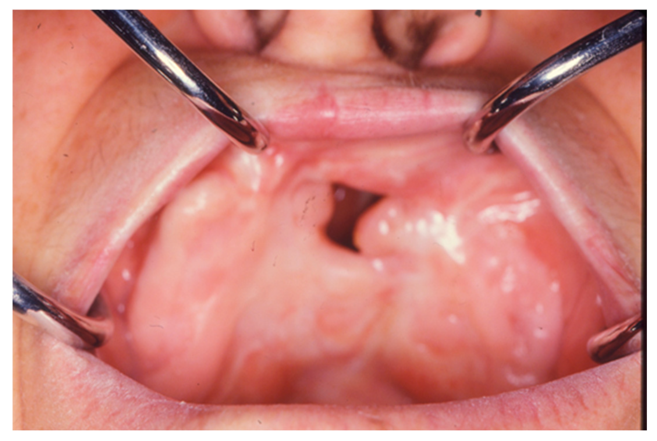 Proceedings 35 00061 g001