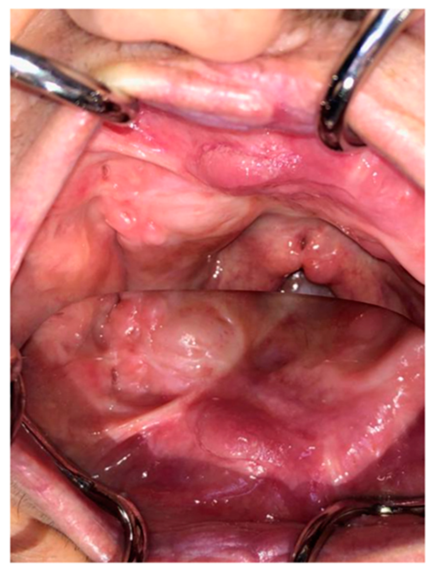 Proceedings 35 00061 g002