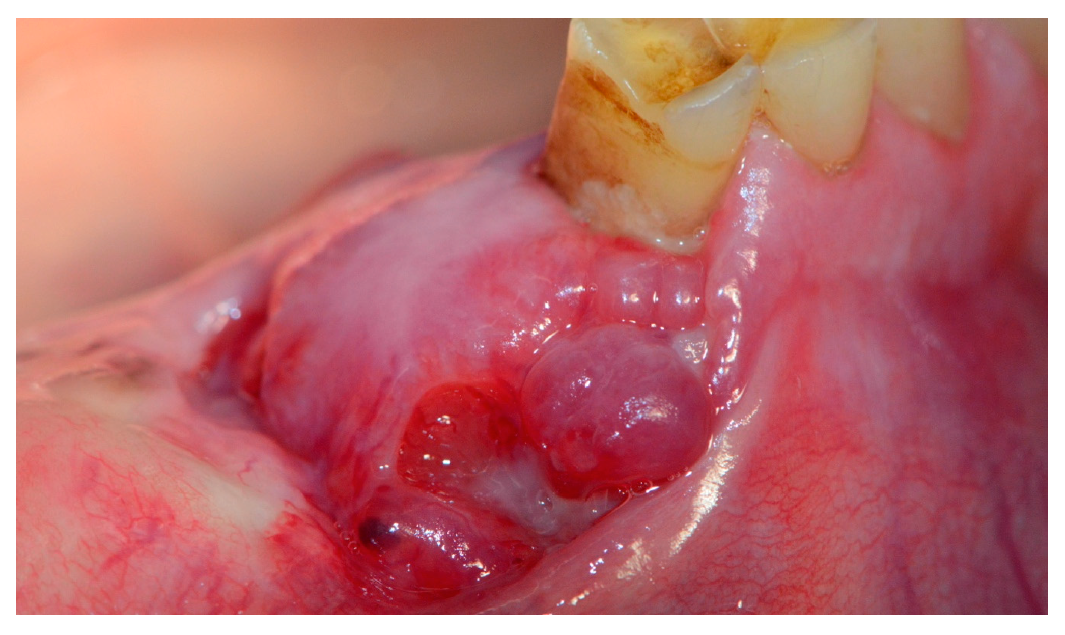 Proceedings 35 00067 g001