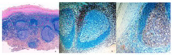 Proceedings 35 00080 g002