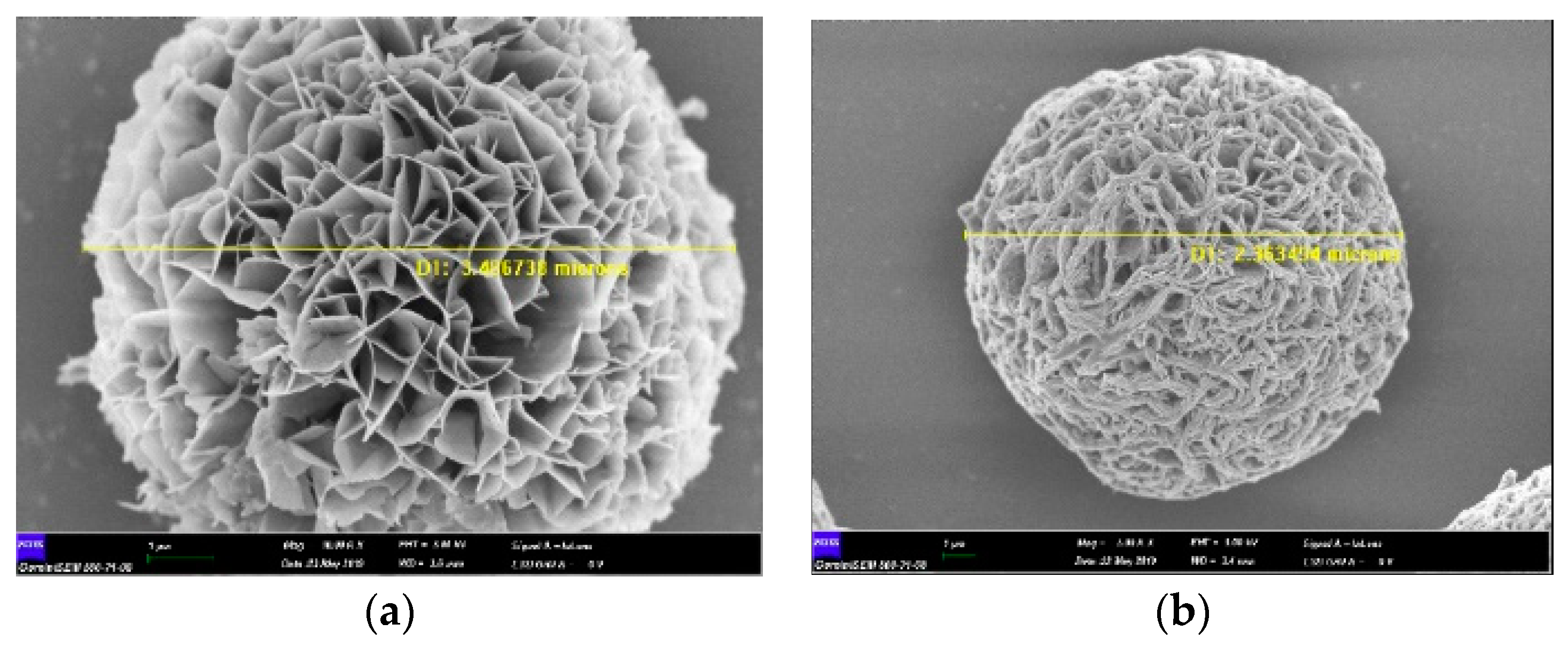 Proceedings 40 00046 g001