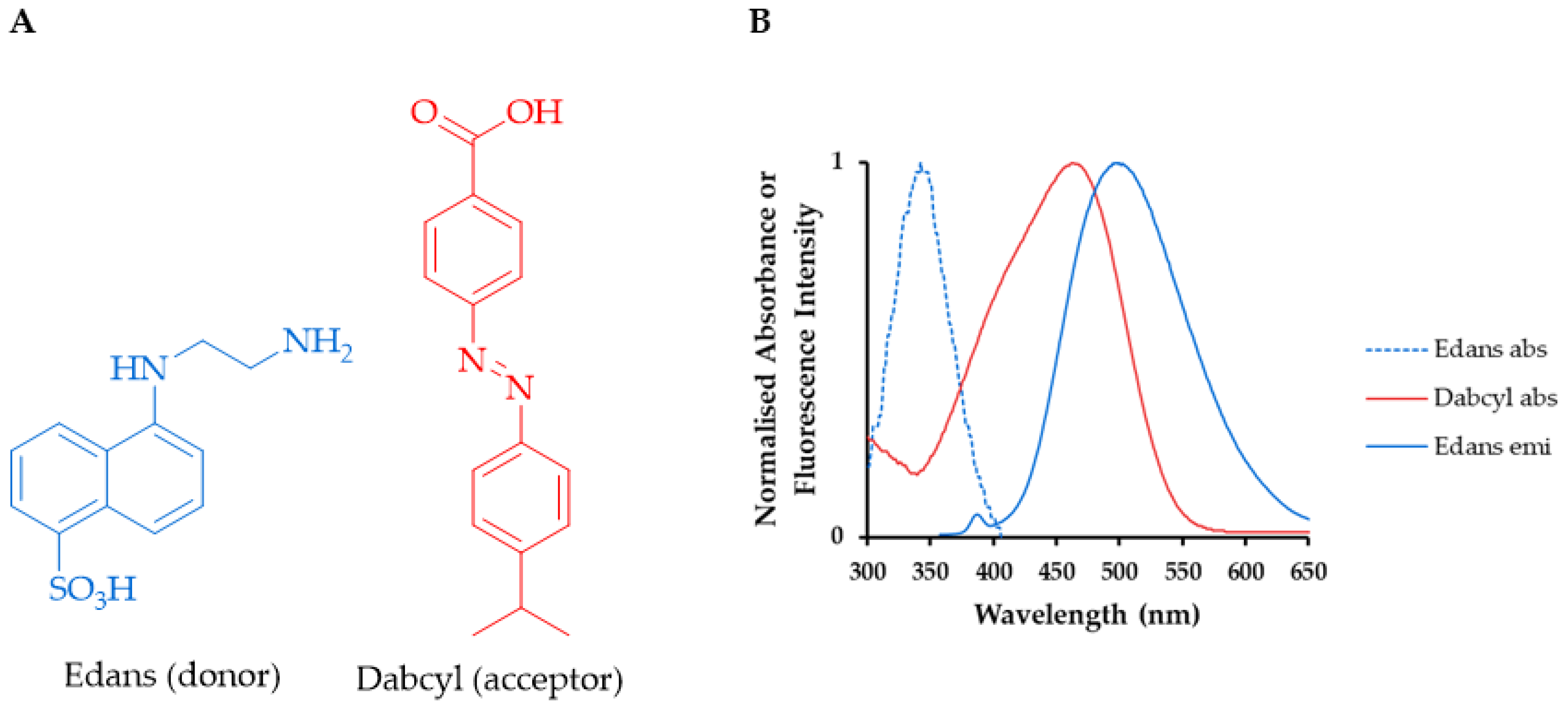 Proceedings 41 00034 g001